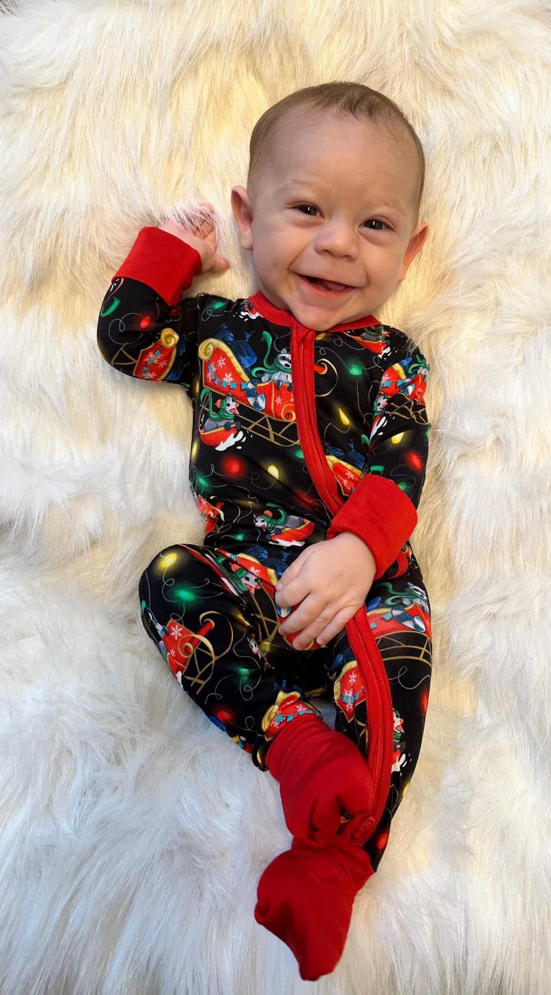 Trashing Through The Snow Zippie The Twisted Lily